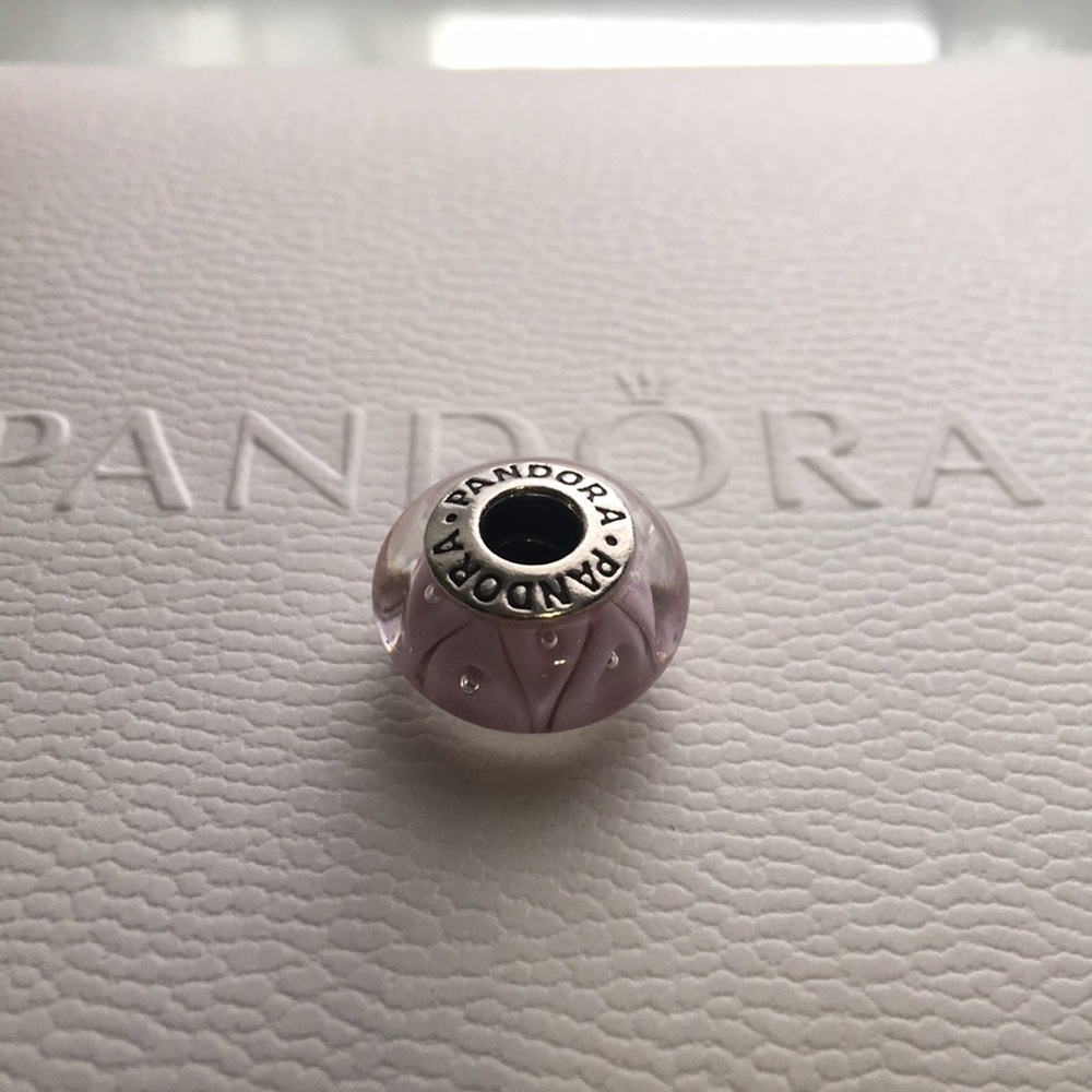 Pandora Charm